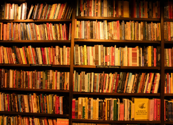 Mercado editorial brasileiro tem robusto arcabouço de dados provenientes de pesquisas | © Beatriz Sardinha / PublishNews