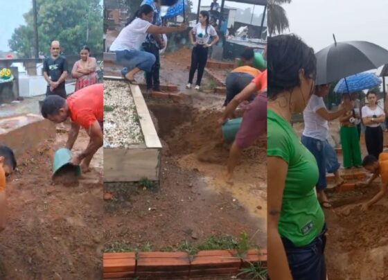 CNN Brasil