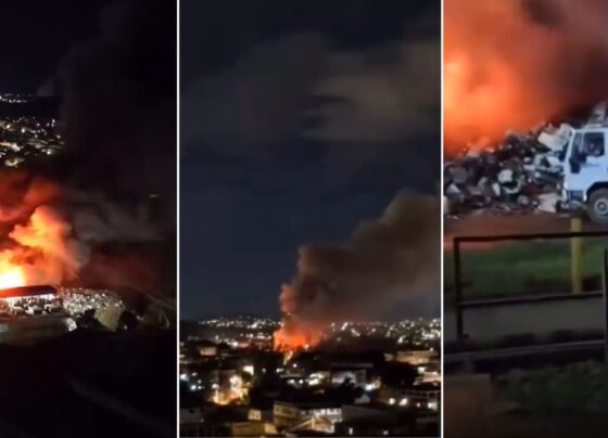 CNN Brasil