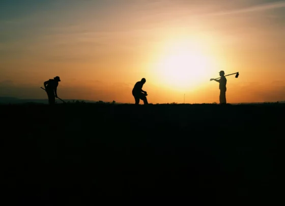Projeto identificou fungo a partir de pesquisas no Hospital Júlio Müller
