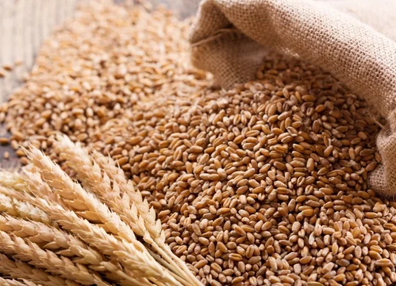 Foto: Broadcast Agro