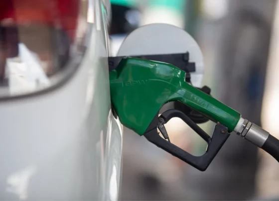 Foto: Unica/Divulgação