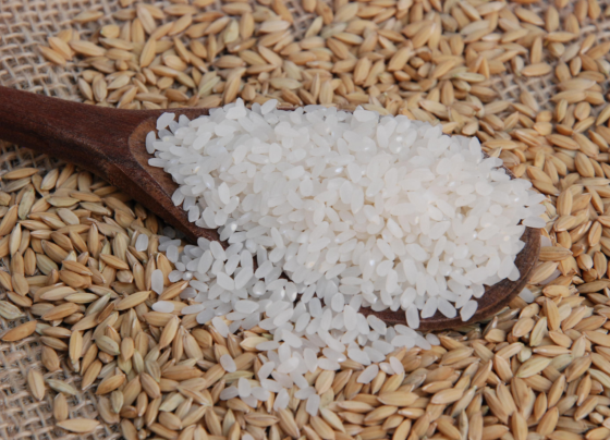 Foto: Sebastião José de Araújo/Embrapa