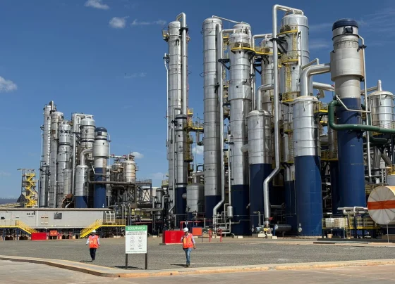 Foto: Agro Estadão