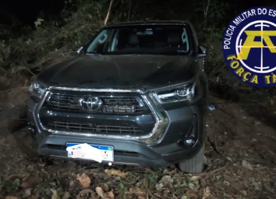 Caminhonete furtada é encontrada em área de mata (Foto: O Diário de Barretos)