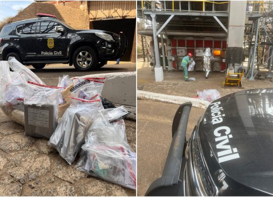 Polícia Civil realiza operação para destruição de drogas apreendidas (Foto: O Diário de Barretos)
