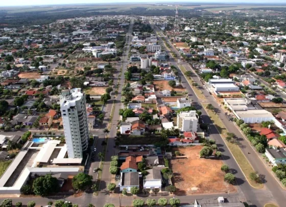 Soja faz cidade ter maior PIB agrícola do país; saiba qual é