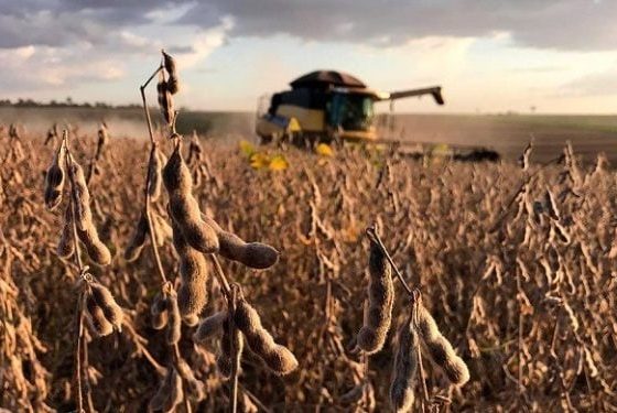 Divulgação Aprosoja Tocantins