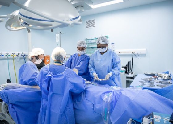 Primeiro transplante de útero bem sucedido da América Latina