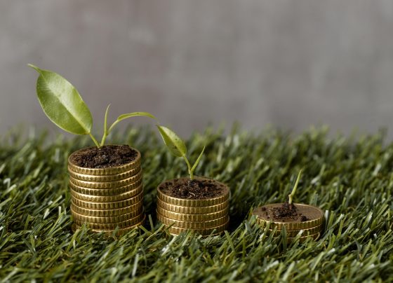 Fiagros, investimento, dinheiro, agro