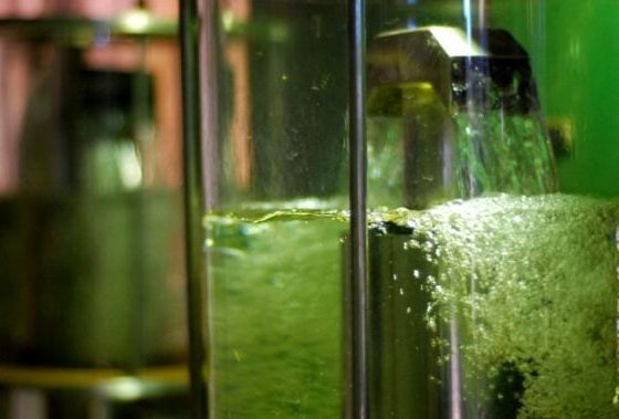 etanol, Biocombustível, Renovabio