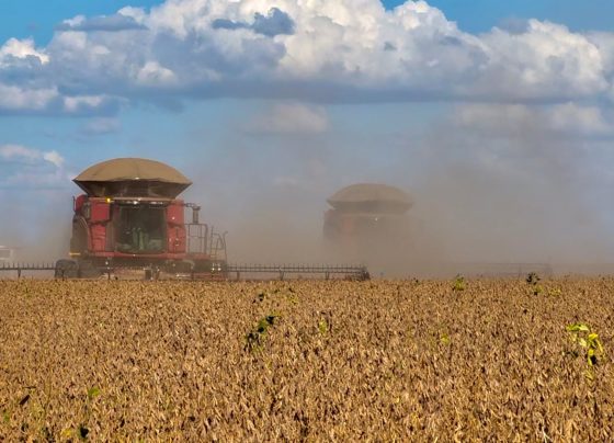 economia, pib do agro, agronegócio, bahia, soja, colheita, participação, agro