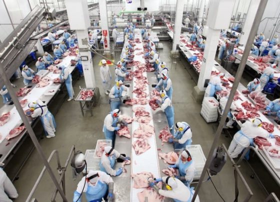Brasil habilita 19 novos frigoríficos para exportação de carnes à África do Sul
