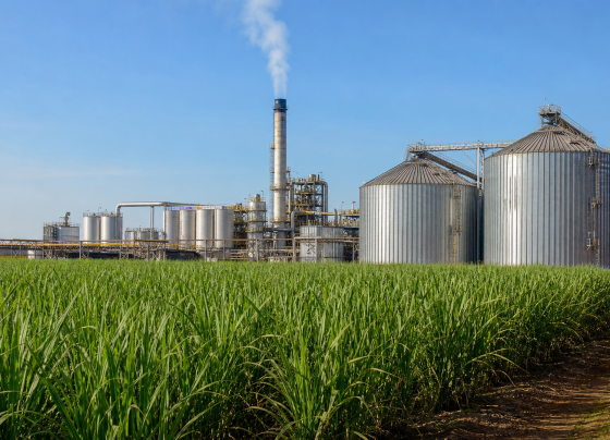 Produção da agroindústria cresce 1,8% em abril, informa FGVAgro