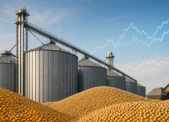 IC-Br cai 0,57% em julho, com alta das commodities agropecuárias