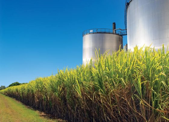 etanol usina cana - produção industrial - mato grosso
