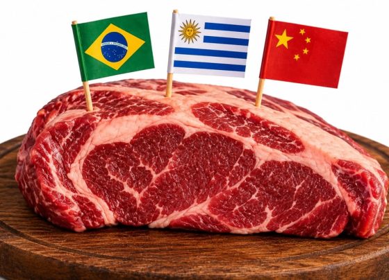 carne bovina brasil china uruguai
